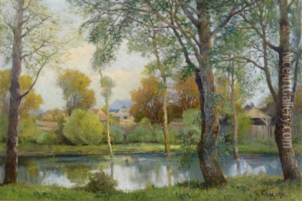 Teichlandschaft Bei Radkersburg Oil Painting - Karl Vikas