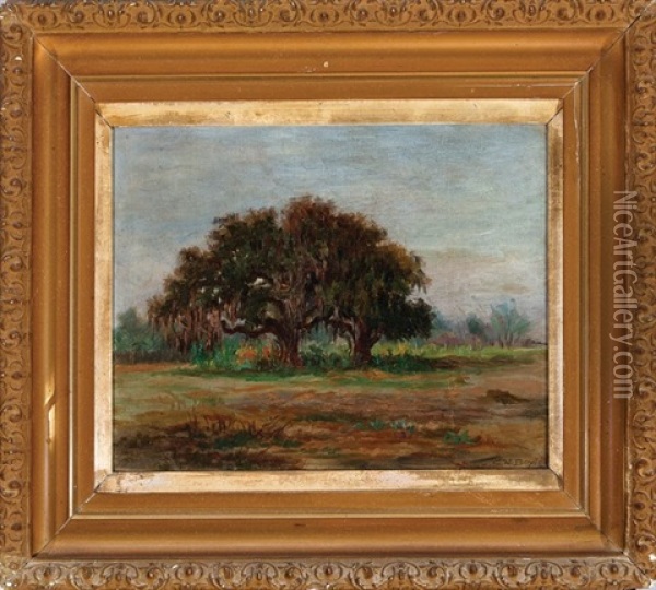 Louisiana Oaks Oil Painting - Charles Wellington Boyle