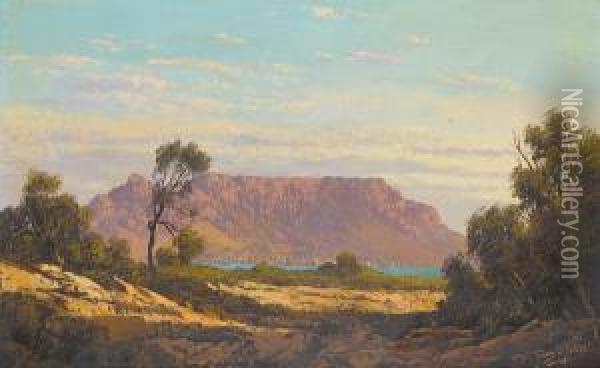 Table Mountain From Milnerton Oil Painting - Tinus De Jong