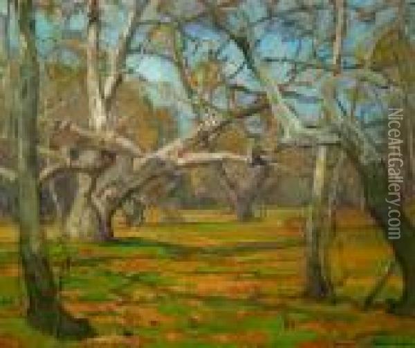 Oaks And Sycamores Oil Painting - William Wendt