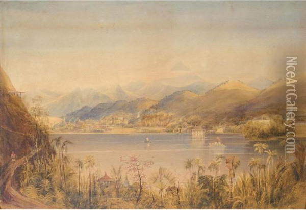 A Scene In The Island Of Ceylon Oil Painting - Andrew Nicholl