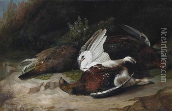 Grouse Oil Painting - John Russell