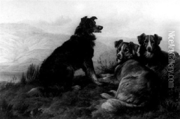 Dogs In A Mountainous Landscape Oil Painting - Charles Jones