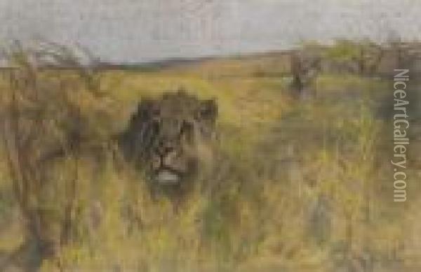 A Lion And Lioness Lying In The Long Grass Oil Painting - Arthur Wardle