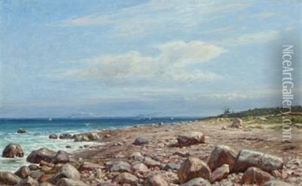 Danish Coast On A Sunny Summer Day With Ships At Sea Oil Painting - Niels Frederik Schiottz-Jensen