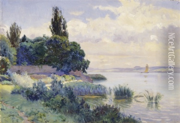 L'embouchure De L'areuse Dans Le Lac De Neuchatel Oil Painting - Emile David Turrian