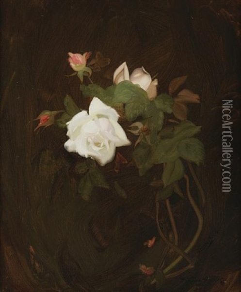Cream And Pink Roses Oil Painting - Stuart James Park