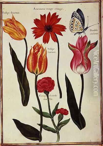 Tulips, Anemone, Lychnis and a Butterfly Oil Painting - Nicolas Robert