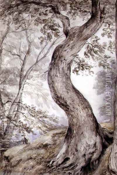 Tree at Helmingham, c.1800 Oil Painting - John Constable
