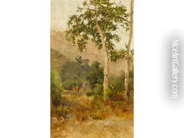 Trees, San Diego Area Oil Painting - Charles Arthur Fries