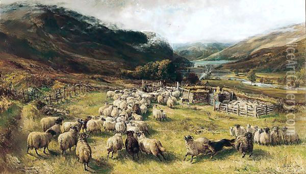 Sheep Gathering Oil Painting - Joseph Denovan Adam