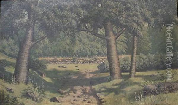 Landscape Oil Painting - Edward Boutelle