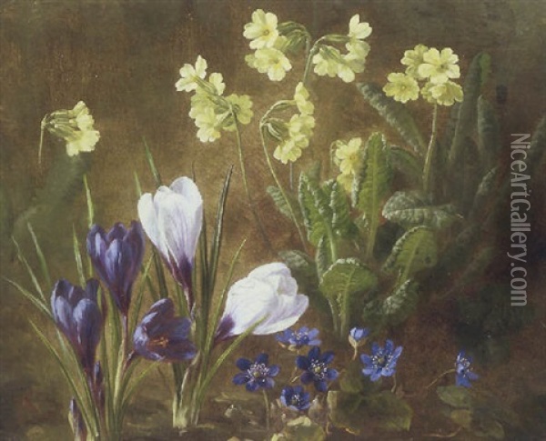 Motiv Med Blomstrende Krokus, Anemoner Og Aurikler Oil Painting - Anthonie Eleonore (Anthonore) Christensen