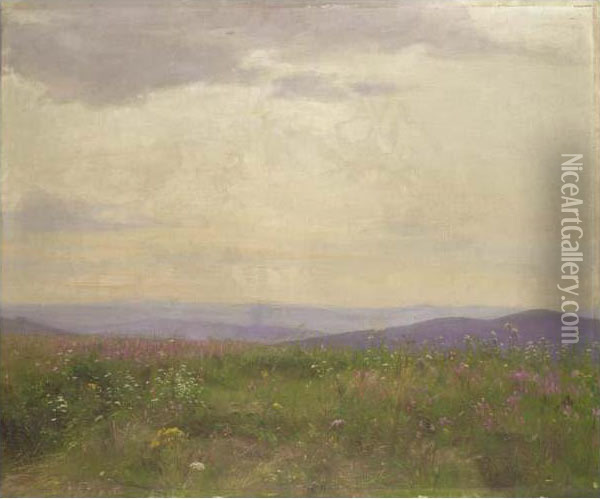 Field Of Flowers Oil Painting - Emerich Fechter