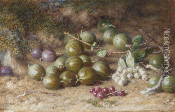 Gooseberries, And Red And White Currants On A Mossy Bank Oil Painting - Jabez Bligh