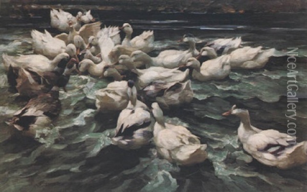Dreiundzwanzig Enten Am Wasser Oil Painting - Alexander Max Koester