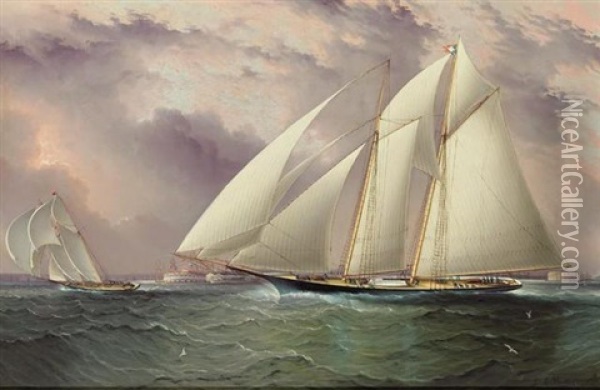 Schooner Racing Off New York Harbor Oil Painting - James Edward Buttersworth