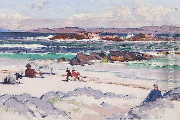 Cattle On The Shore, Iona Oil Painting - Francis Campbell Boileau Cadell