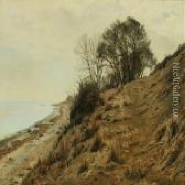 Costal Scenery Oil Painting - Janus Andreas La Cour