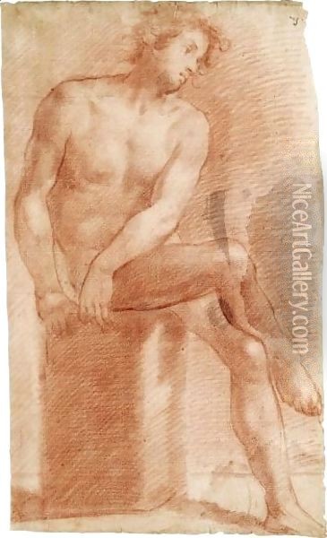A Seated Male Nude, His Legs Crossed Oil Painting - Vincenzo Dandini