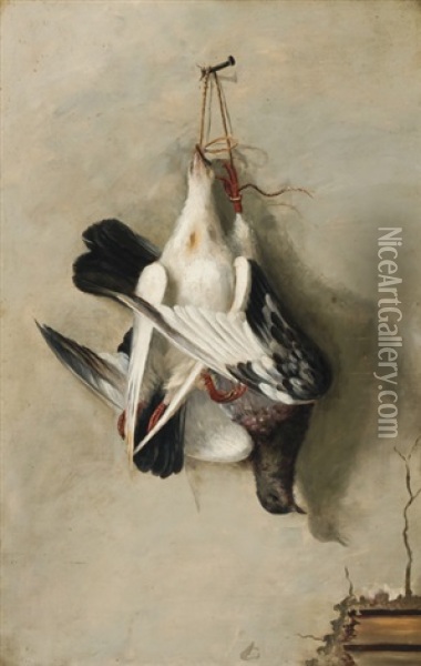 Passenger Pigeons Oil Painting - Alexander Pope