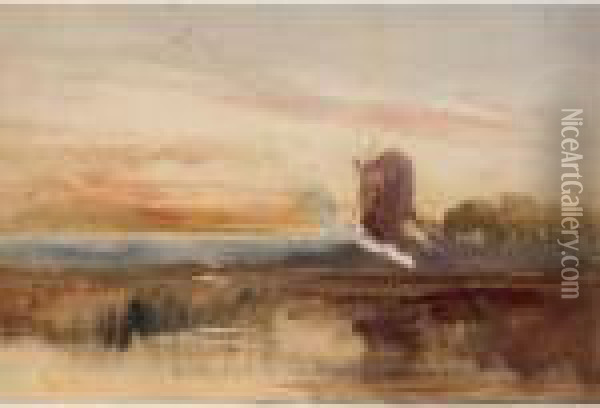 Windmill At Sunset Oil Painting - William James Muller