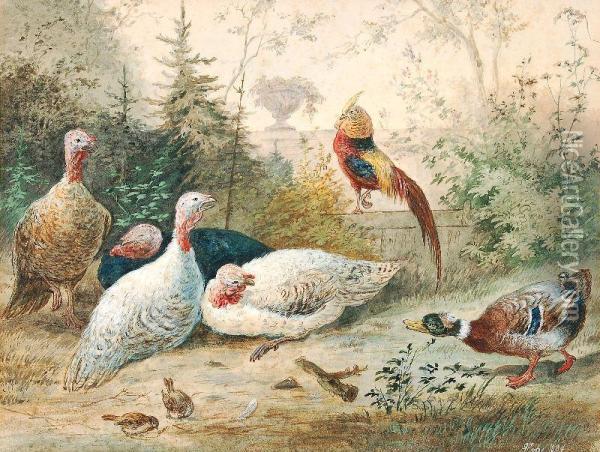 Fowls In The Garden Oil Painting - Robert Erbe