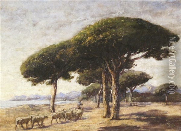Stone Pines, Near Cannes Oil Painting - Nathaniel Hone the Younger