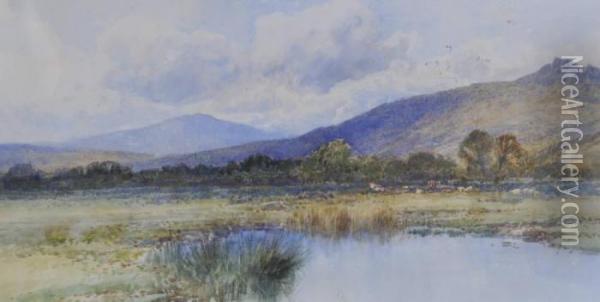 Landscape Okehampton Oil Painting - Frederick John Widgery