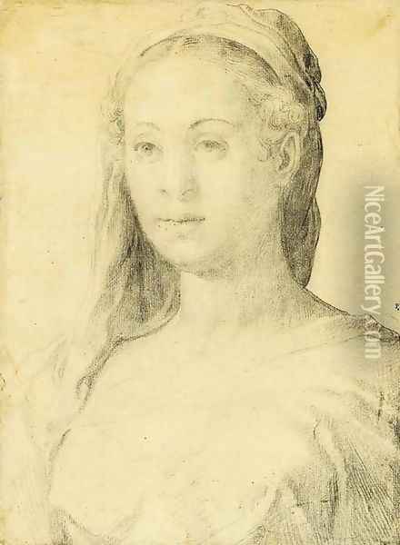 Portrait of a woman Oil Painting - Francesco de' Rossi
