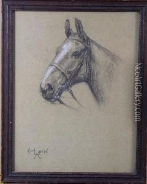 Portrait Of Horse'shead Oil Painting - Cecil Charles Aldin