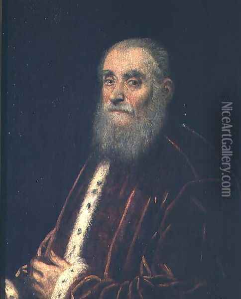 Marco Grimani Oil Painting - Jacopo Tintoretto (Robusti)