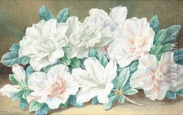 Still Life Of Flowers Oil Painting - Thomas Collier