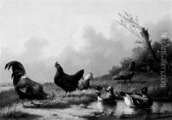 Huhner Und Enten Am Teich Oil Painting - Cornelis van Leemputten