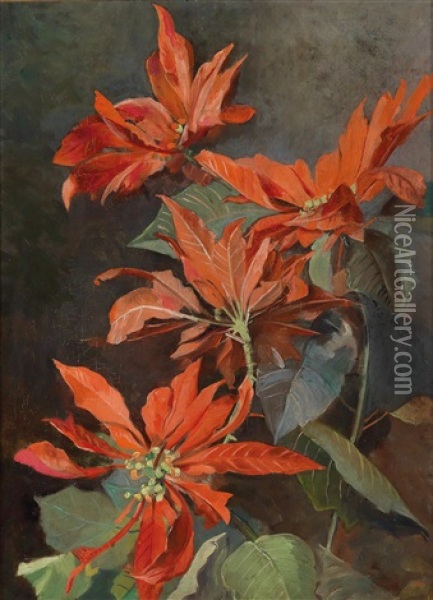 Weihnachtssterne Oil Painting - Marie Hesse