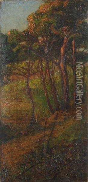 Pineta Oil Painting - Renuccio Renucci