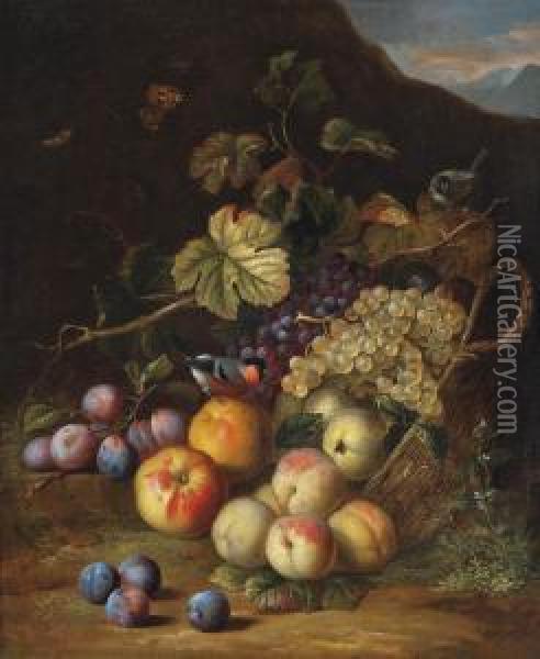 A Basket Of Apples, Plums, Peaches And Grapes With A Bullfinch And Moths, A Mountainous Landscape Beyond Oil Painting - Tobias Stranover