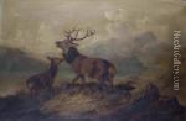 Stag In Thehighlands Oil Painting - Byron Webb