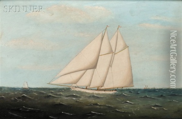 Schooner Under Full Sail Oil Painting - Clement Drew