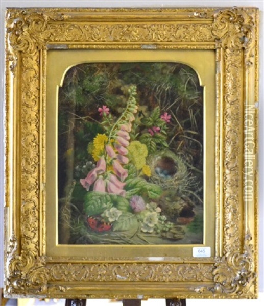 Still Life Of A Bird's Nest, Butterflies And Foxgloves Oil Painting - Thomas Worsey