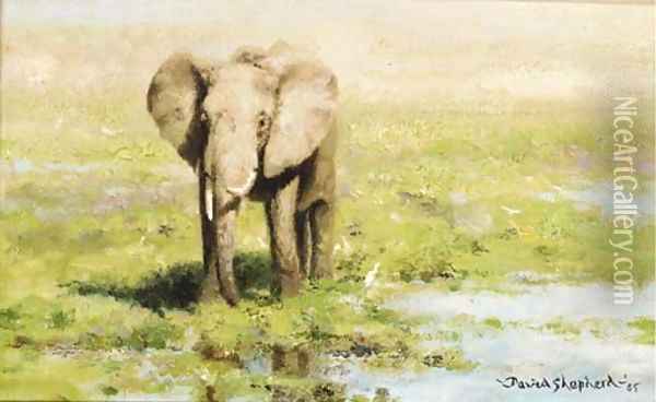 An Elephant at a water hole Oil Painting - Thomas Hosmer Shepherd