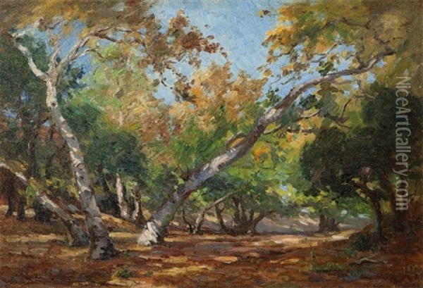 Summer In The Canyon - Laguna Beach Oil Painting - Anna Althea Hills