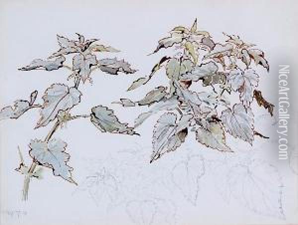 Study Of Nettles Oil Painting - Helen Beatrix Potter