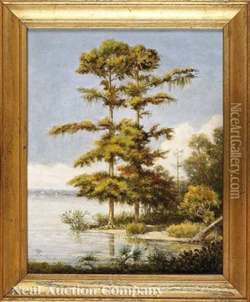 Batture Cypress Trees (algiers, Louisiana?) Oil Painting - Philippe Regis de Trobriand
