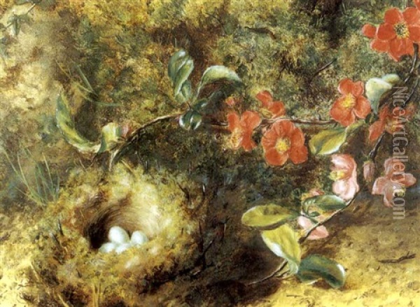 Nid D'oiseaux Parmi Des Fleurs (+ Nid D'oiseaux Et Branche D'arbre; Pair) Oil Painting - William Henry Hunt