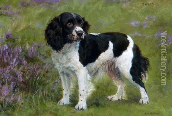A Portrait Of Sally, A Spaniel Oil Painting - F. Mable Hollams