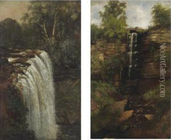 Minnehaha Falls And Woodland Falls: A Pair Of Paintings Oil Painting - Joseph Rusling Meeker