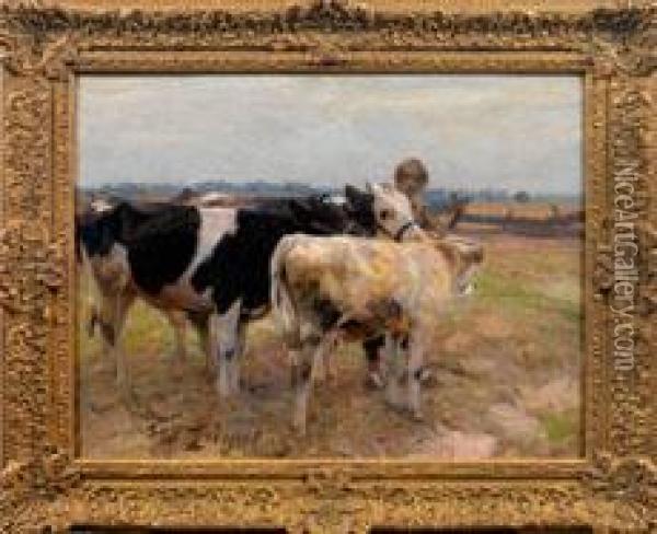 Bauernknabe Mit Drei Jungen Rindern Oil Painting - Heinrich Johann Von Zugel
