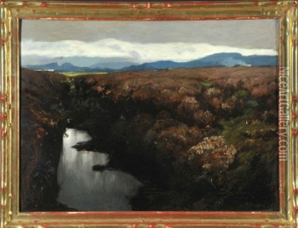 Sumpflandschaft Mit Bergen Im Hintergrund Oil Painting - Albert Stagura