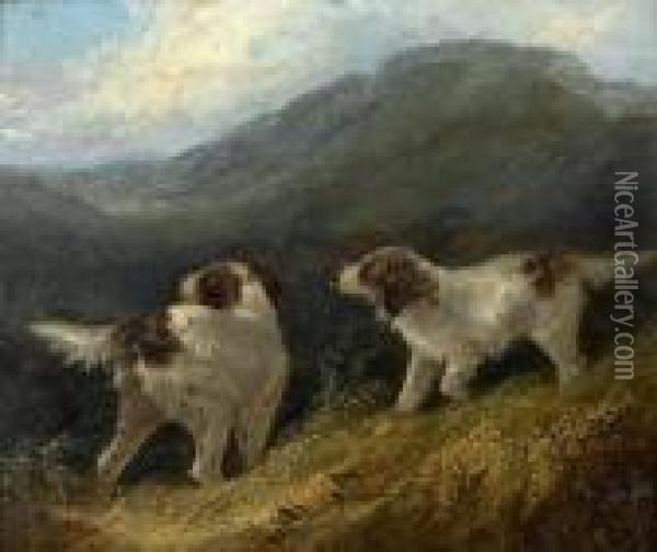 Springer Spaniels Oil Painting - George Armfield